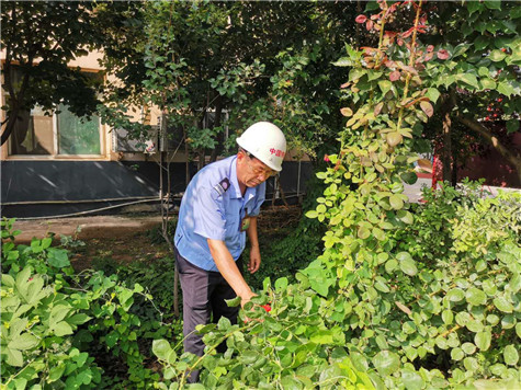 河南偉志模板來保軍——美麗的花園,來自辛勤的勞動(dòng)